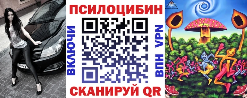 купить наркотик  Неман  Псилоцибиновые грибы Psilocybine cubensis 